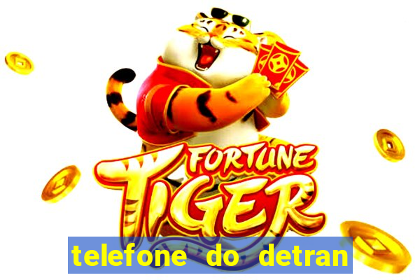 telefone do detran de santos